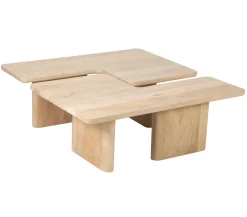 Set de 2 Table basse 110x70 cm | Ariel II